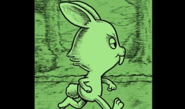 色漫画兔,趣味横生的奇幻冒险之旅