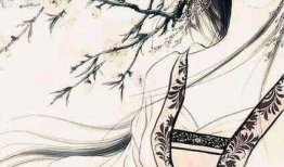 半张脸漫画,揭开神秘面纱的奇幻之旅